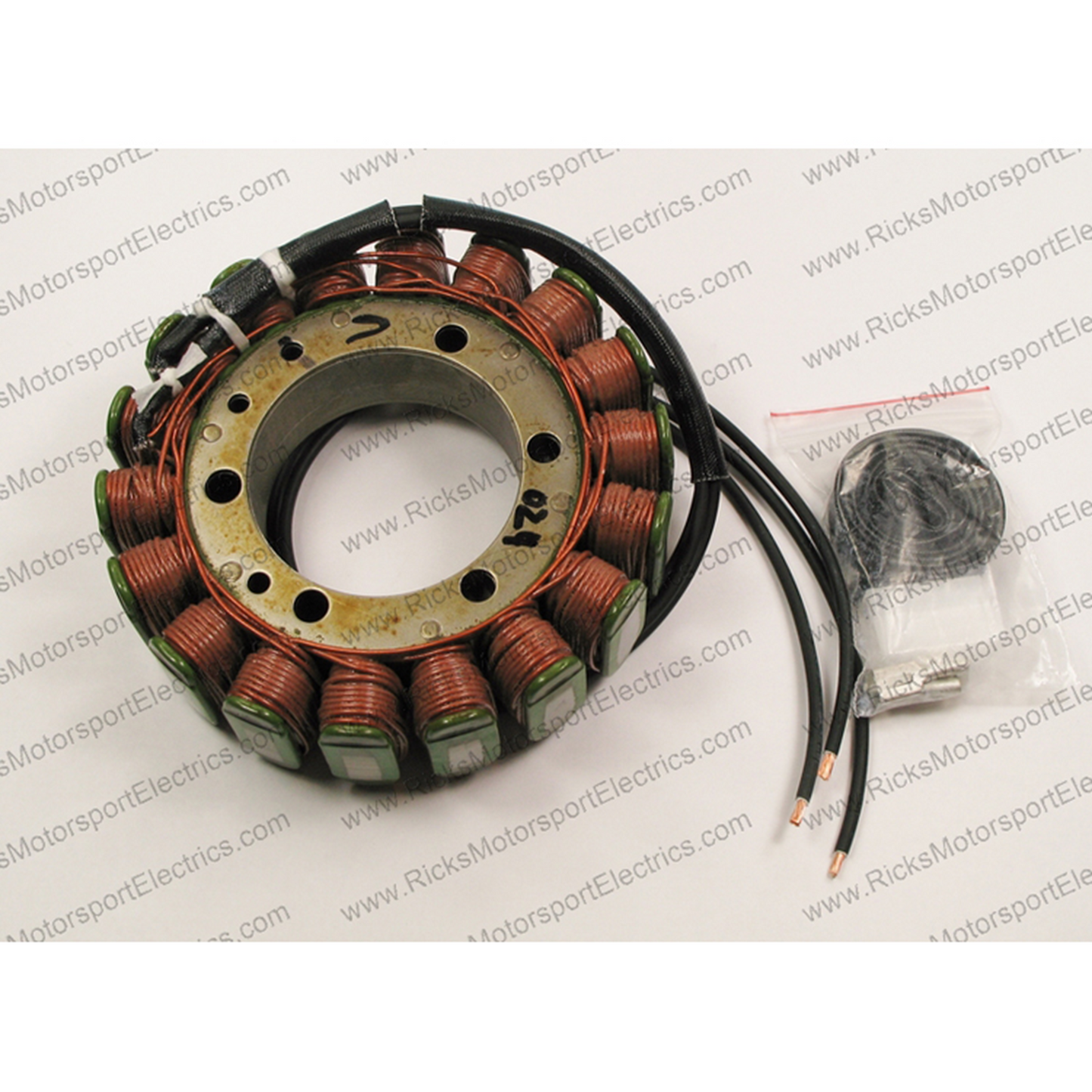 Rick's Electric Oe Style Stator