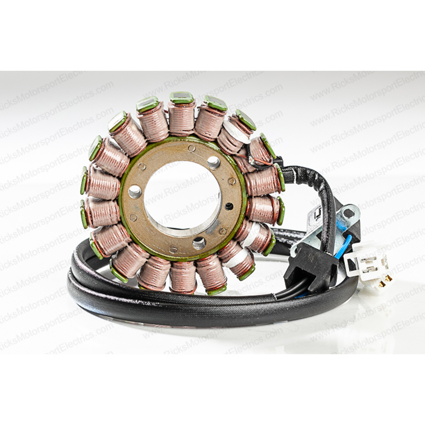 Rick's Electric Oe Style Stator