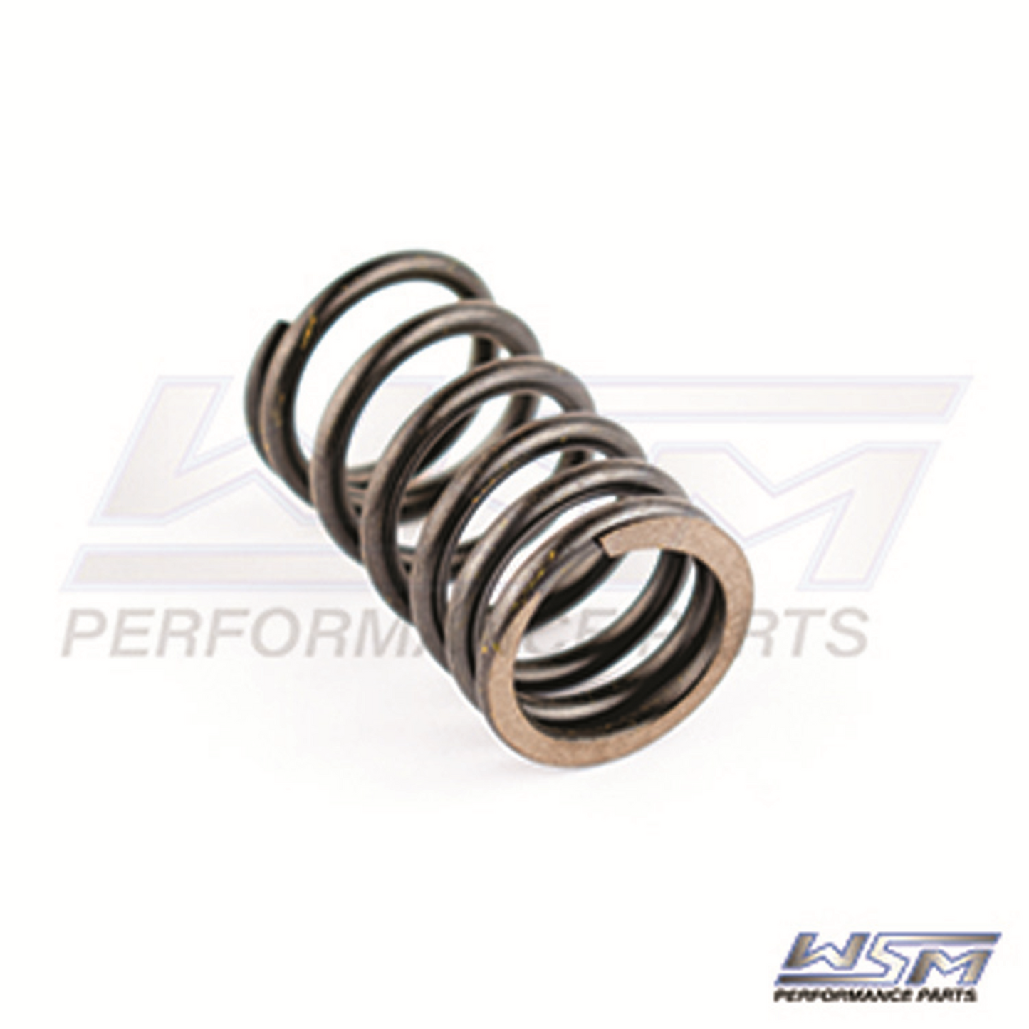 Sea-doo Outer Valve Spring