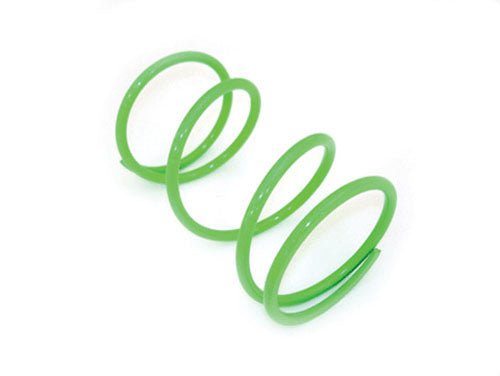 Epi Clutch Spring Green