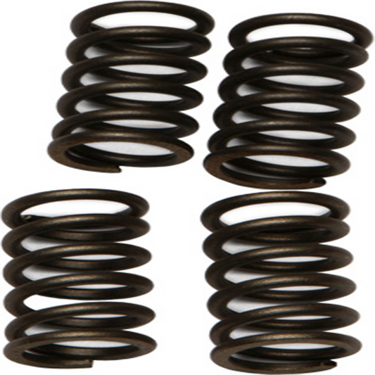 Ebc Clutch Springs