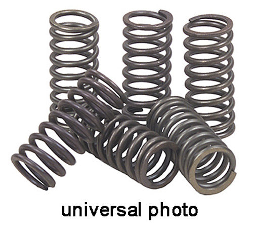 Ebc Clutch Spring Kit