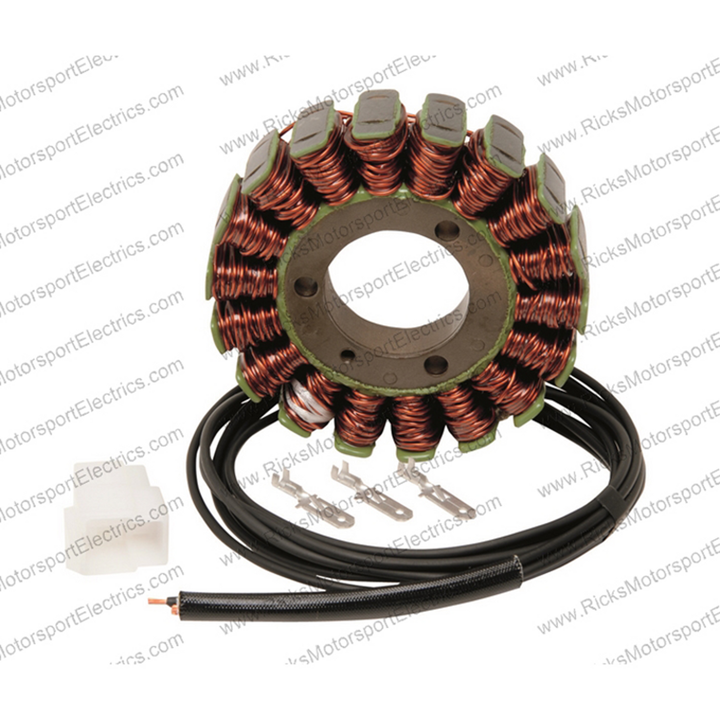 Rick's Electric Oe Style Stator