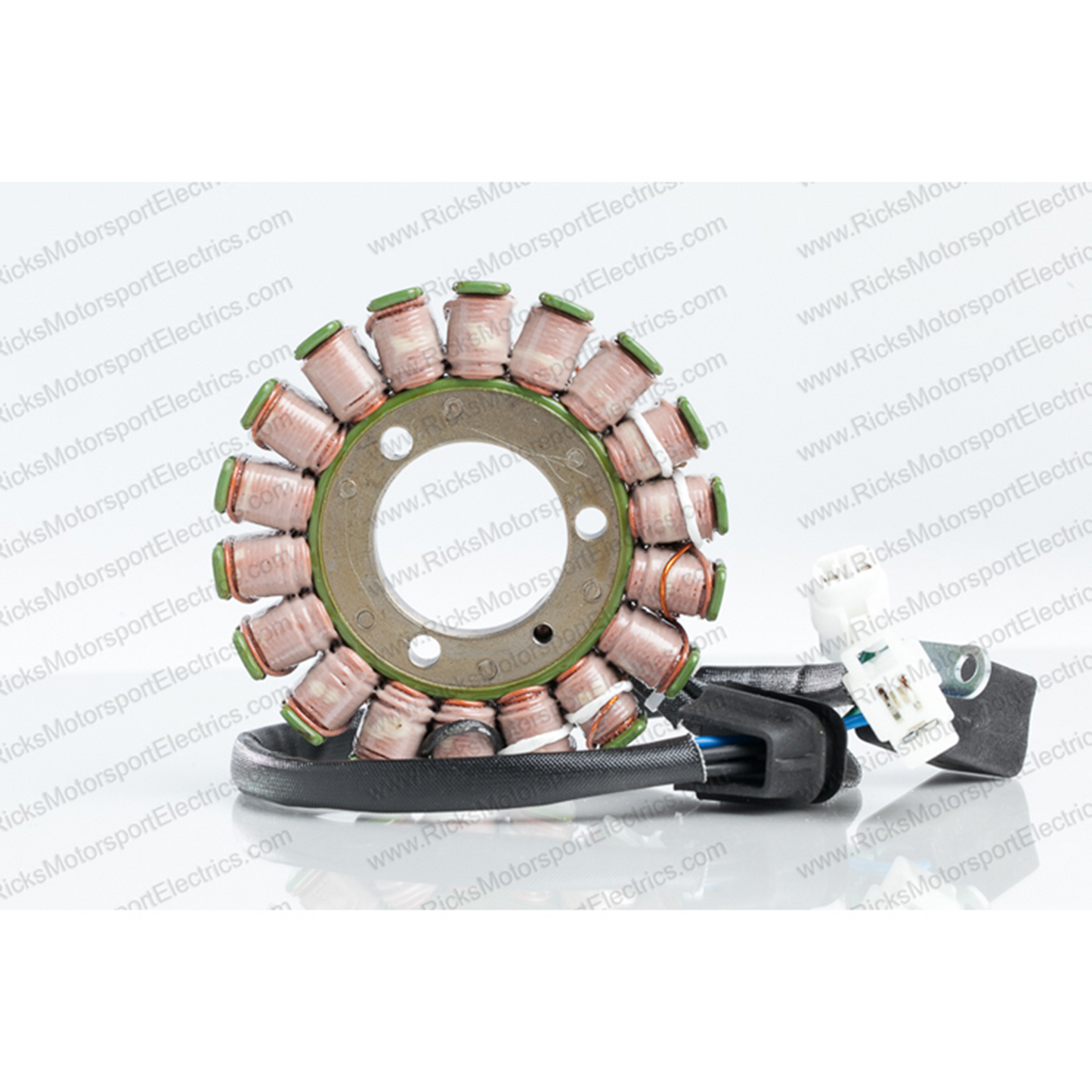 Rick's Electric Oe Style Stator