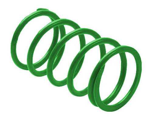 Erlandson Clutch Spring ,green