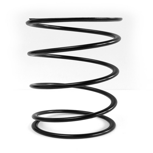 Epi Clutch Spring